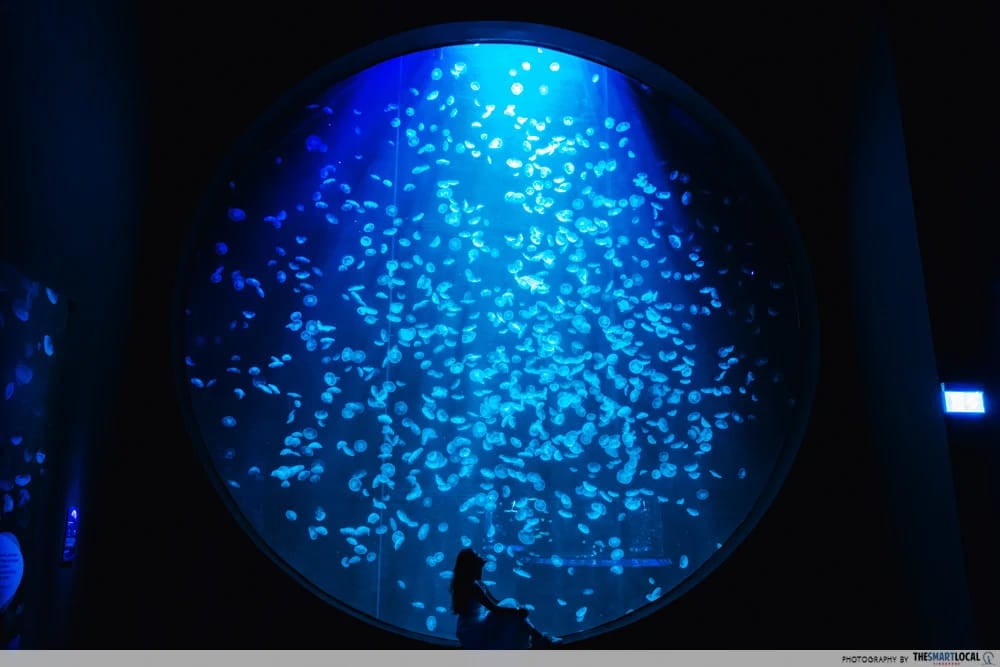 singapore oceanarium