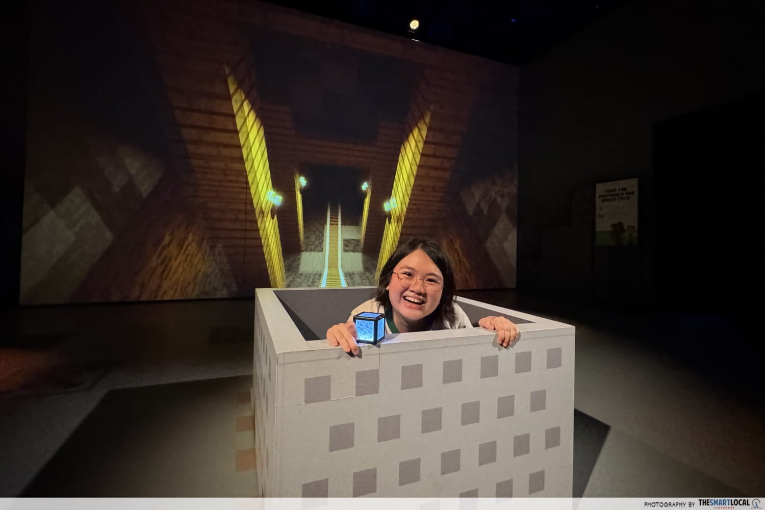Minecart
