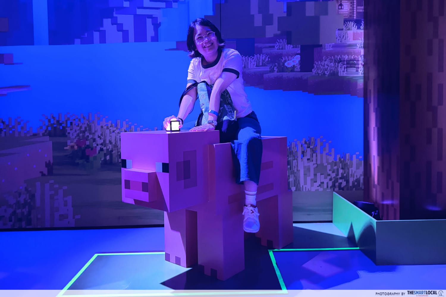 Minecraft Pig