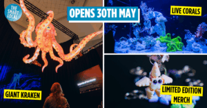ONE Ocean: Every Action Ripples